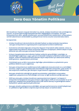 Sera Gazı Politikası